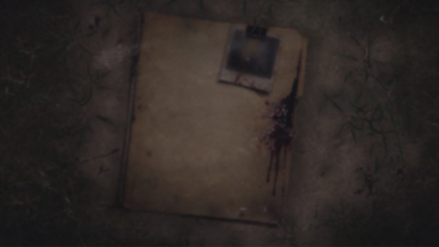 A blood-stained case file on the ground
